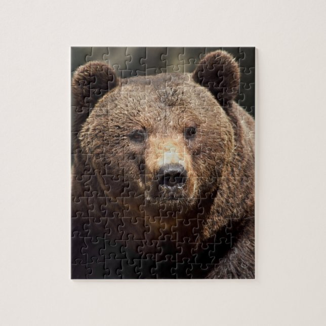 GRIZZLY BEAR 8X10 JIGSAW Puzzle (Vertical)