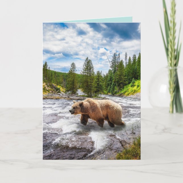 GRIZZLY BEAR ALASKA BIRTHDAY GREETING CARDS (Front)