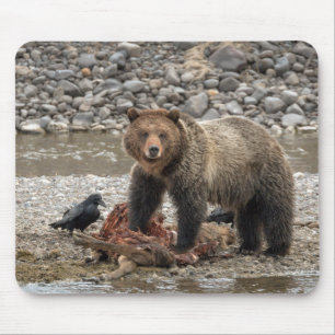 Grizzly Bear and Raven Mouse Pad