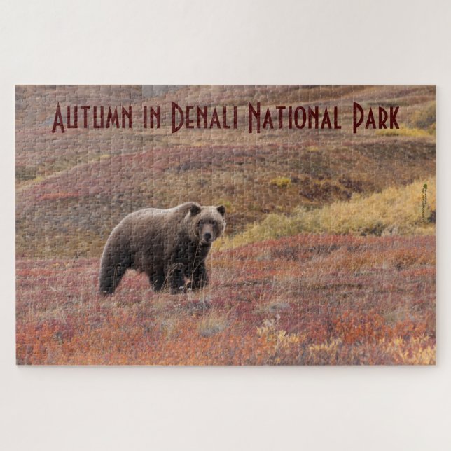 Grizzly Bear Autumn Colours Denali Alaska Jigsaw Puzzle (Horizontal)