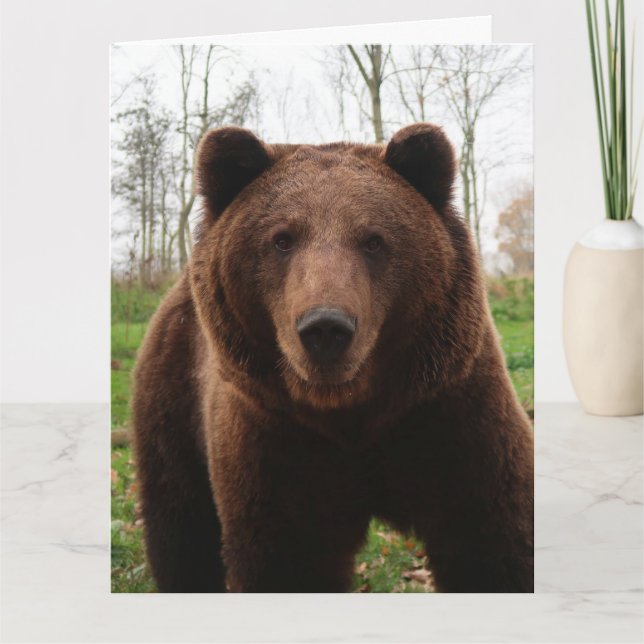 GRIZZLY BEAR BIRTHDAY GREETING CARD (Front)