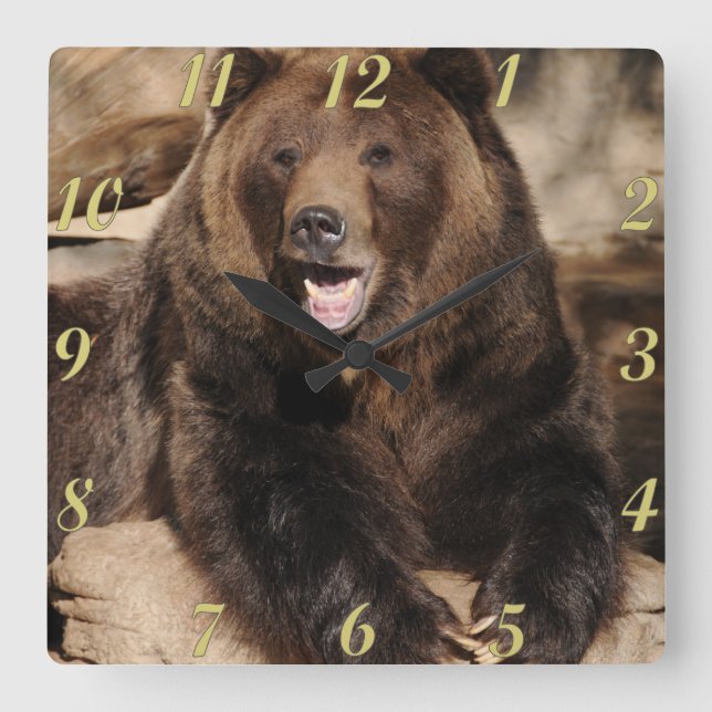 Grizzly Bear Boar Square Wall Clock (Front)