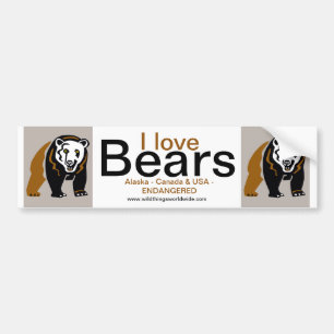 Grizzly bear - bumper sticker