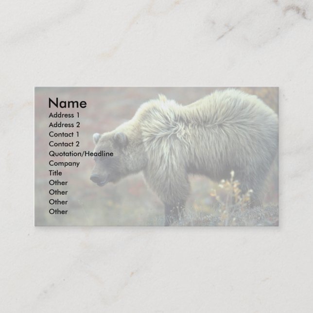 Grizzly Bear Business Card (Front)