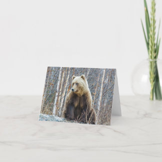 Grizzly Bear Card