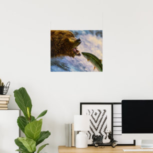 Grizzly Bear Catching Steelhead Salmon Poster