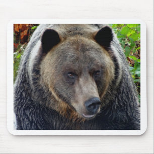 Grizzly Bear Close-up Mouse Mat