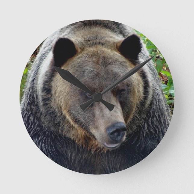 Grizzly Bear Close-up Round Clock (Front)