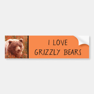 Grizzly Bear Cub in Fireweed Painting Wildlife Art Bumper Sticker