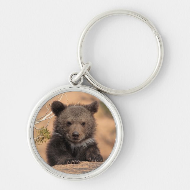 Grizzly Bear Cub Key Ring (Front)