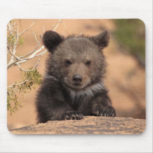 Grizzly Bear Cub Mouse Mat