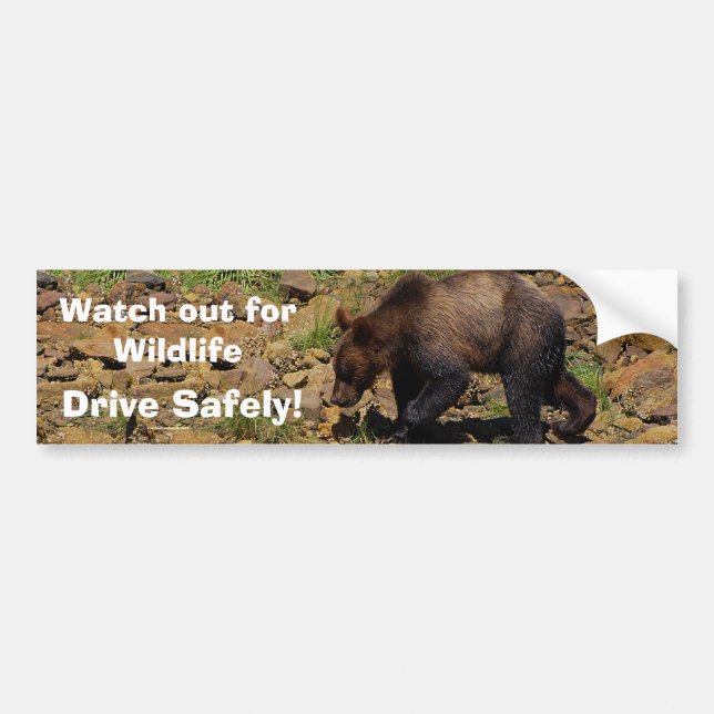 GRizzly Bear Cub Wildlife Supporter Bumper Sticker (Front)