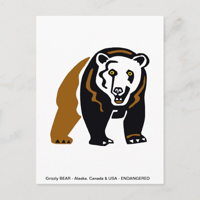 Grizzly BEAR - Endangered animal - Nature - Postcard (Front)