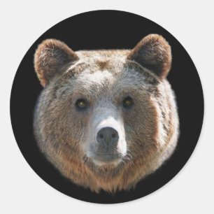 Grizzly Bear Face Classic Round Sticker