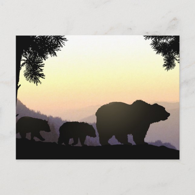 Grizzly Bear family Postcard (Front)