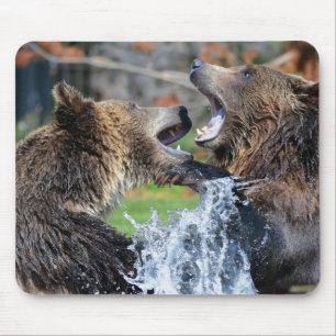Grizzly bear fight mouse mat