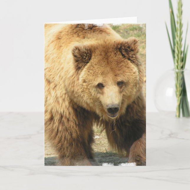 Grizzly Bear Greeting Card (Front)