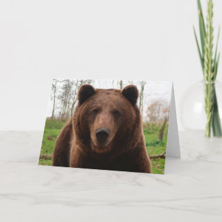 GRIZZLY BEAR HAPPY BIRTHDAY BEAR HUG CARDS