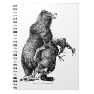 Grizzly bear Hunting Deer Simple Drawing Notebook