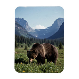 Grizzly Bear in Glacier National Park Travel Magnet
