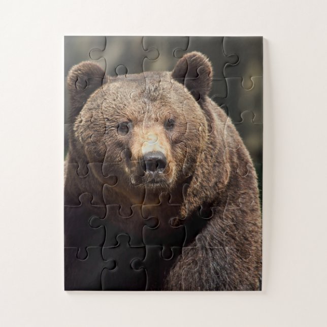GRIZZLY BEAR JIGSAW PUZZLE (Vertical)