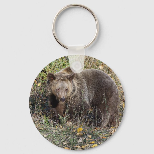 Grizzly Bear Key Ring (Front)