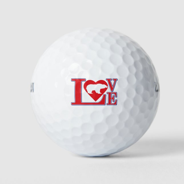 Grizzly Bear Love Heart Golf Balls (Front)