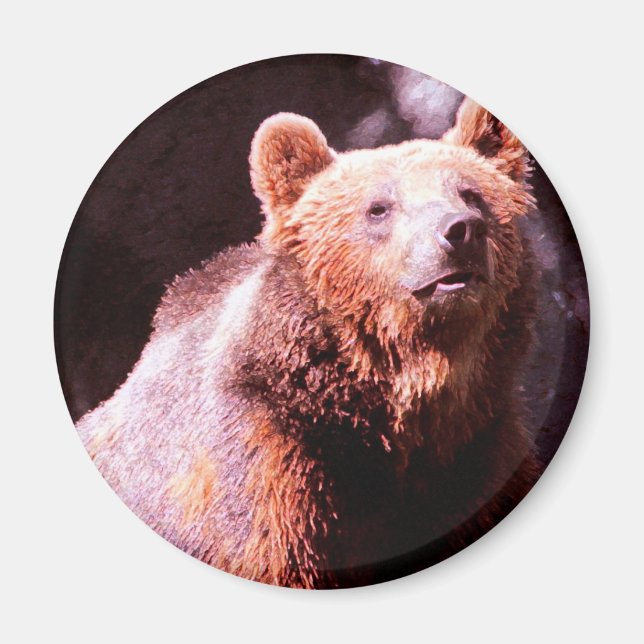 grizzly bear magnet (Front)