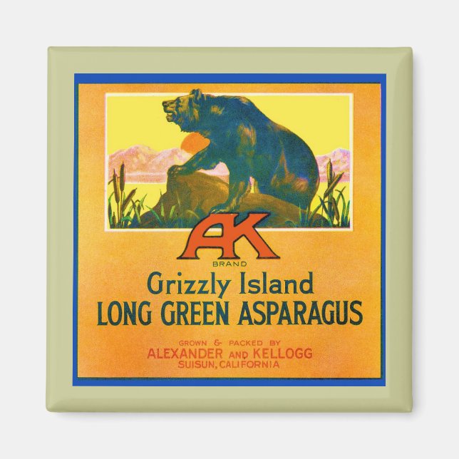 Grizzly Bear Magnet (Front)