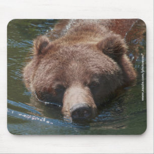 Grizzly Bear Mouse Mat