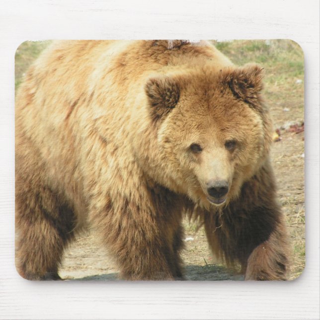 Grizzly Bear Mouse Pad (Front)
