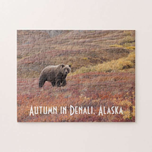 Grizzly Bear Moves Through Autumn Colours In Alask Jigsaw Puzzle (Horizontal)