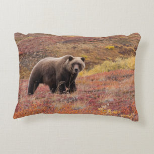 Grizzly Bear Moves Through Autumn Colours In Decorative Cushion