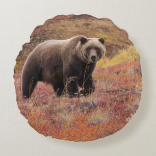 Grizzly Bear Moves Through Autumn Colours In Round Cushion