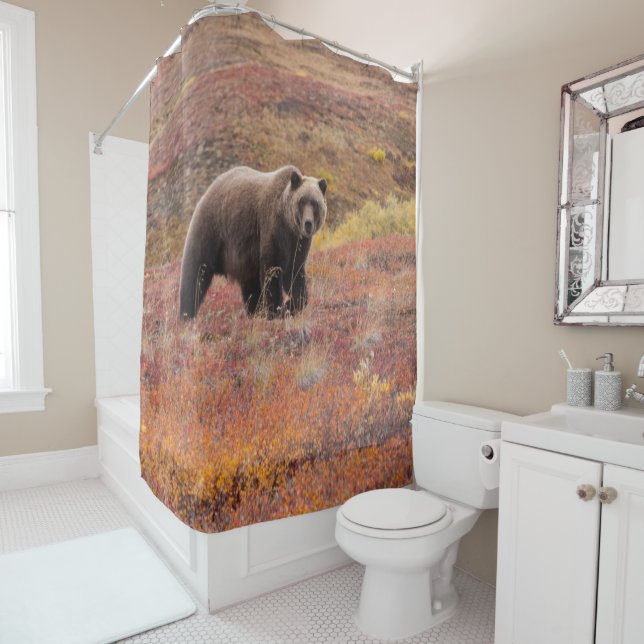 Grizzly Bear Moves Through Autumn Colours In Shower Curtain (In Situ)
