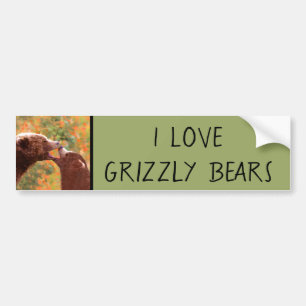 Grizzly Bear Mum and Cub Painting - Wildlife Art Bumper Sticker