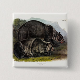 Grizzly Bear (North American Brown Bear) - Audubon 15 Cm Square Badge