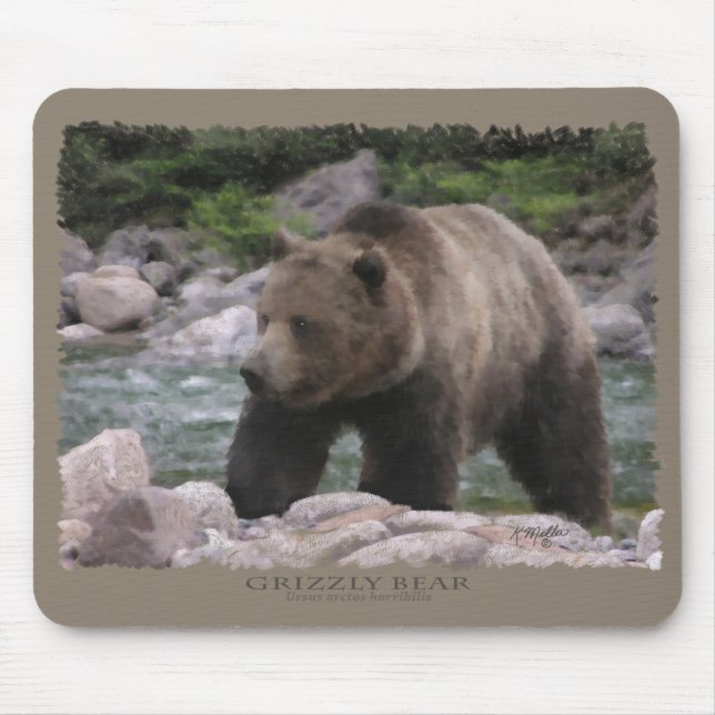 Grizzly Bear - Pastels Mouse Mat (Front)