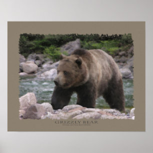 Grizzly Bear - Pastels Poster