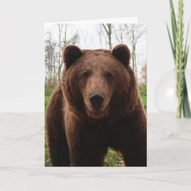 GRIZZLY BEAR PHOTOGRAPHY BIRTHDAY CARD (Front)