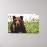 GRIZZLY BEAR PHOTOGRAPHY WRAPPED CANVAS