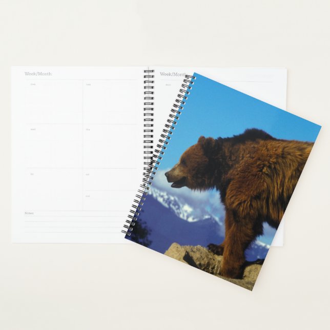 Grizzly Bear Planner (Display)