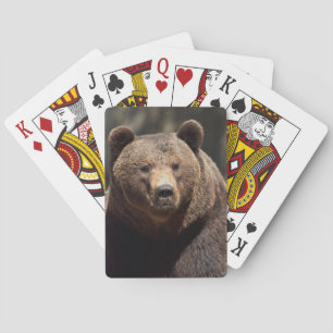 grizzly bear playing cards