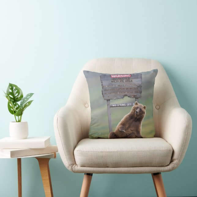 Grizzly Bear Plays With Sign Cushion (Chair)