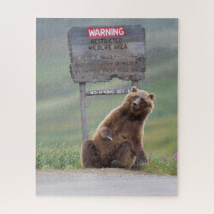 Grizzly Bear Plays With Sign Jigsaw Puzzle