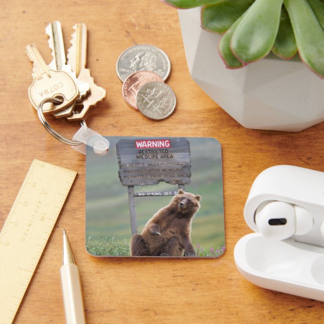 Grizzly Bear Plays With Sign Key Ring (Desk)