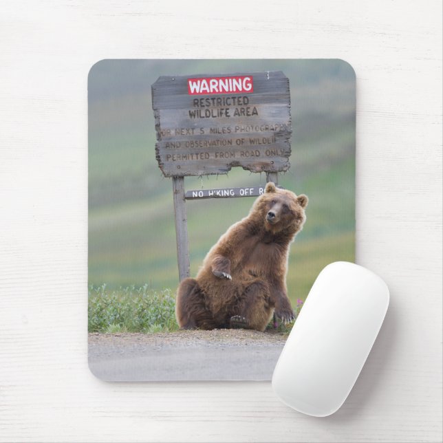 Grizzly Bear Plays With Sign Mouse Mat (With Mouse)