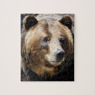 Grizzly Bear Portrait Jigsaw Puzzle