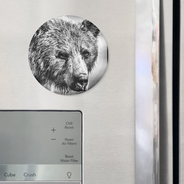 Grizzly bear portrait magnet (In Situ (Fridge))