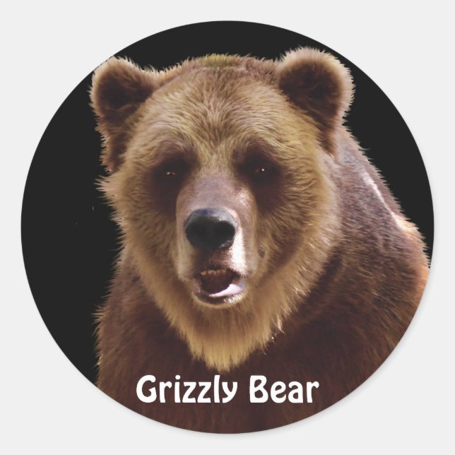 Grizzly Bear Portrait Wildlife Stickers (Front)